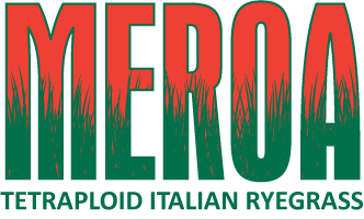 Meroa Logo